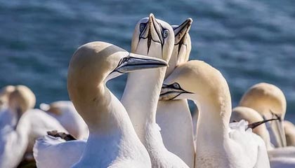 天博体育中国-费德勒重返球场恢复训练 2021计划“走一步看一步”