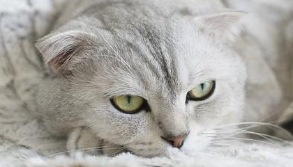 天博体育中国-费德勒重返球场恢复训练 2021计划“走一步看一步”